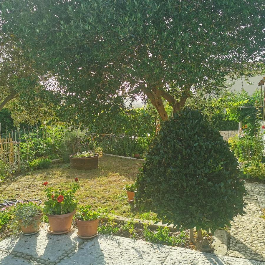 Pag Vlašići Bagian luar foto